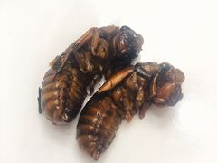 -解家河南菜(商鼎路店)