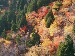 -香山公园