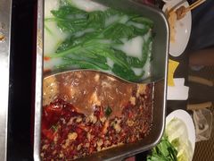新辣道鱼火锅(欧美汇店)-新辣道鱼火锅(领展购物广场·中关村店)