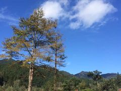 -井冈山风景名胜区