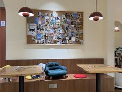 -有猫主题·治愈系猫咖(曾厝垵店)