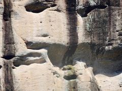 -九曲溪竹筏码头