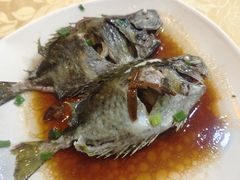 -阳江餐厅·30年老字号·粤菜海鲜大排档
