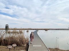 -盐城丹顶鹤湿地生态旅游区