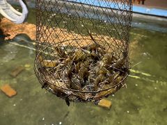 -光头佬钓虾场·烧烤·聚餐·亲子(金沙洲店)