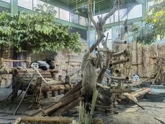 -泉州海丝野生动物世界