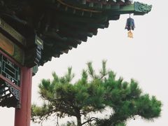 -永安水煮活鱼·仪征菜(仪征奥林匹克店)