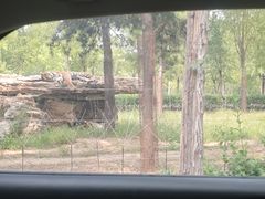 -秦皇岛野生动物园