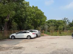 -马陆小张葡萄园农家乐