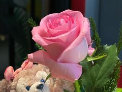 -华阳时光吧餐厅(华阳广场国际大饭店)