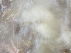 -活鱼村·老陈记粉店
