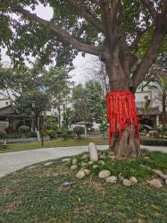 -莲生母婴月子中心(清水河公园店)