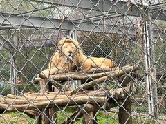 -合肥野生动物园