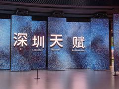 -深圳市当代艺术与城市规划馆