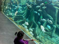 -波塞冬旅游度假区