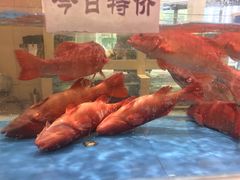 -双井轩(双井店)