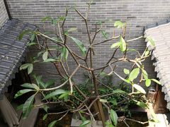 -归觅·西关小姐人文艺术馆(荔枝湾店)