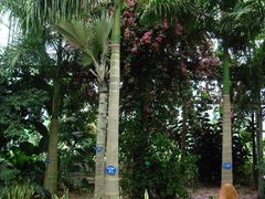 果树种植示范区-祥源·阜阳生态乐园