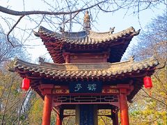 -碑林公园