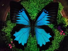 -小米之家(世博源店)