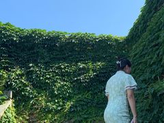 -黑石礁公园