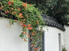 -苏州冶园园林民宿(太湖西山风景区店)