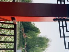 -洛龙公园