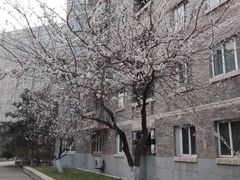 -辽宁大学(崇山校区)