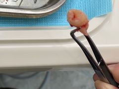 -品凯口腔(丰潭门诊)