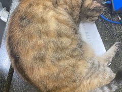 -协和菜馆(凤凰街店)