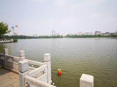 -莲花池公园