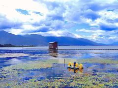 -抚仙湖禄充风景区