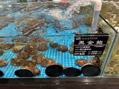-苏先生海鲜渔庄(金桥店)
