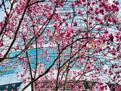 -上海来福士广场