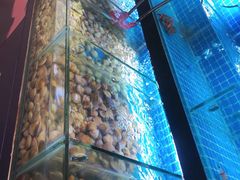 -佰园全日西餐厅-厦门佰翔软件园酒店