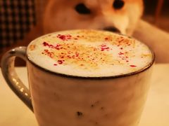 -the rug 飞毯 (朝阳公园店)