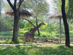 -北京野生动物园