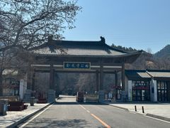 -金龙寺国家森林公园