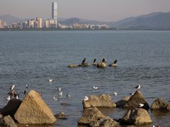 -深圳湾公园(南山区)