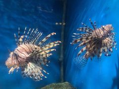 -福州罗源湾海洋世界旅游区