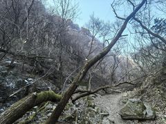-抱龙峪
