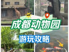 -成都动物园