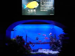 -太平洋海底世界