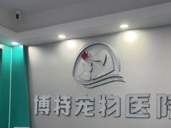 -博特宠物医院24h犬猫全科.骨科·异宠