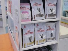 -纳吉亚猫专科动物医院·北北分院