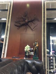 -AKOZO Beauty Salon