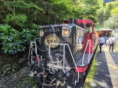 -岚山嵯峨野观光小火车