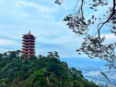 -缙云山景区