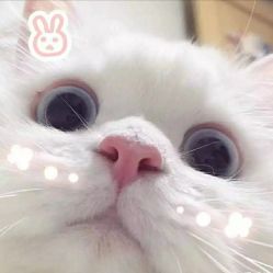 点击看大图 -时尚工厂·科学染发
