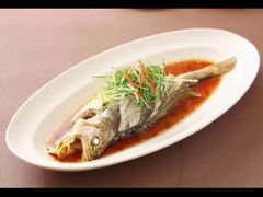 -沪碟·精菜坊(闵行店)